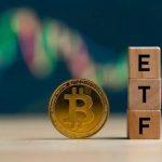 Demand for MetaQuote-Compliant Anjouan Licenses Surges Amid…